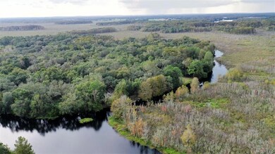 unlisted-address, Floral City, FL 34436 - photo 3