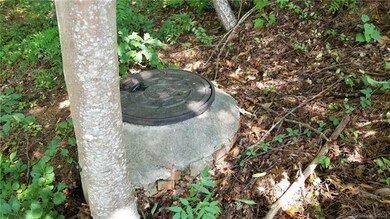Manhole for public sewer access.