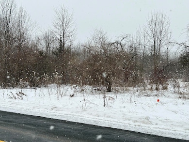 1614 66th St, Fennville, MI 49408 - photo 3