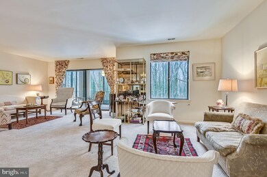 6350 Red Cedar Place unit 309, Baltimore, MD 21209 - photo 4