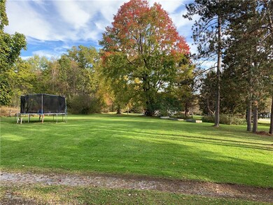 Side yard with some berry bushes.