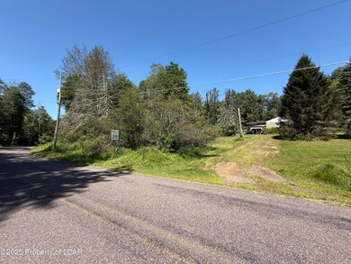 10 Peatmoss Rd, White Haven, PA 18661 - photo 6