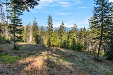 Lot B Spring View Ln, Sagle, ID 83860 - photo 7
