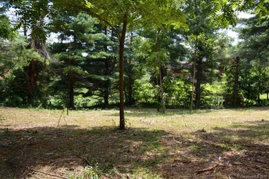 9999 Panorama Dr, Asheville, NC 28806 - photo 6