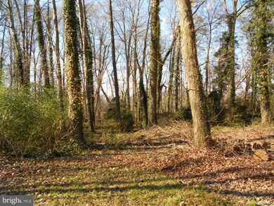 2623 Stirrup Ln, Alexandria, VA 22308 - photo 3