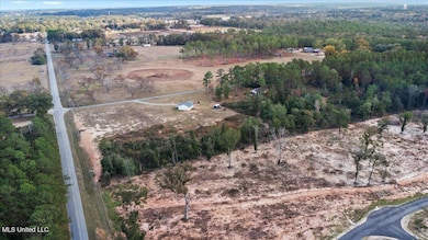 Nsn Brashier Ln, Lucedale, MS 39452 - photo 5