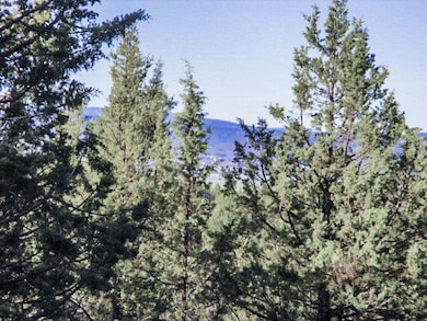 0 Pearson Butte unit Lot 16 220198014, Keno, OR 97627 - photo 5