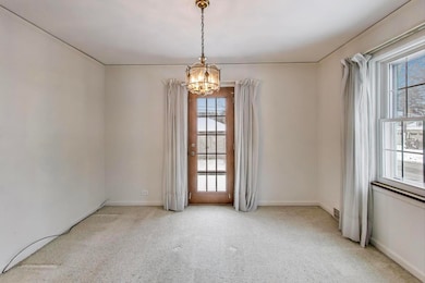 1920 S Washington Ave, Park Ridge, IL 60068 - photo 6