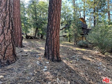 0 Kern Ave unit 25621451, Big Bear, CA 92386 - photo 4