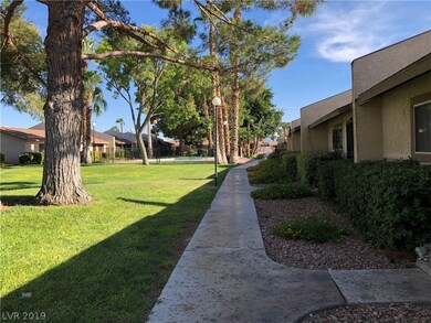Lush green grass and overgrown trees - community p