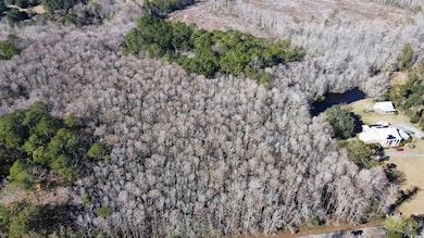 3143 S Island Rd, Georgetown, SC 29440 - photo 3