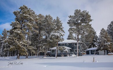 867 Crestview Dr, Mormon Lake, AZ 86038 - photo 3