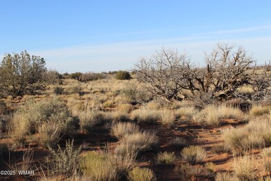 Lot 224 Ccr, Heber, AZ 85928 - photo 4