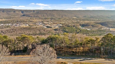 0 Brow Lot 1 2 13 Rd unit 1525572, Trenton, GA 30752 - photo 3