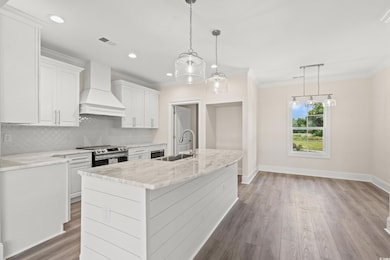 Kitchen featuring a sink, electric range, custom exhaust hood, baseboards, and ornamental molding