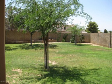 West Side of Back Yard