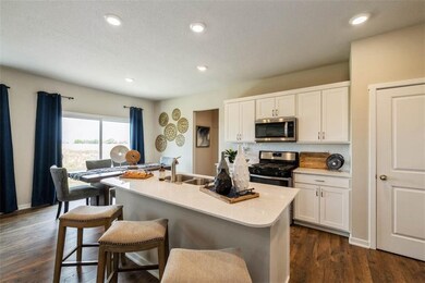 8008 NW 95th Cir, Johnston, IA 50131 - photo 5