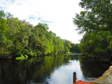 0000 E Riverside Dr, Dunnellon, FL 34434 - photo 4