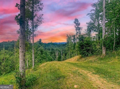 1267 Hicks Ford Rd, Ellijay, GA 30540 - photo 7