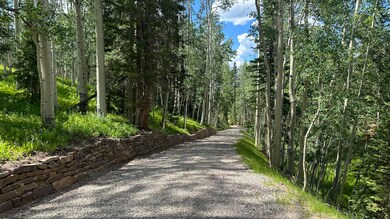 IMG_8010