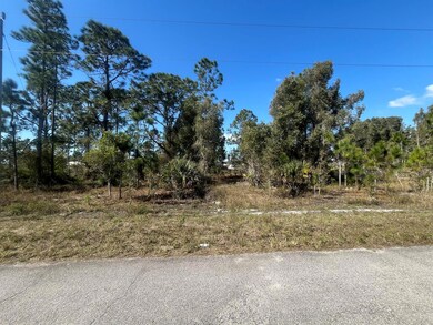 1258 Bowles Ave, Lehigh Acres, FL 33913 - photo 3