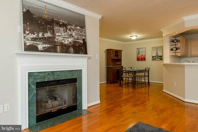 13201 Cloppers Mill Dr unit 11-F, Germantown, MD 20874 - photo 7