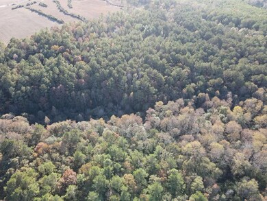 19800 Tervin Mill Rd, Andalusia, AL 36421 - photo 6