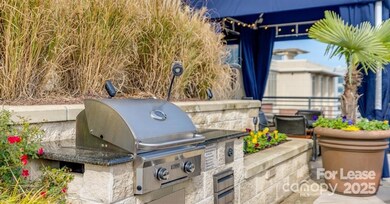 125 W Tremont Ave unit A1B, Charlotte, NC 28203 - photo 5