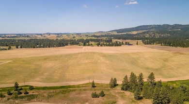 13507 E Gibbs Rd, Valleyford, WA 99023 - photo 5