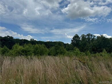 View of local wilderness