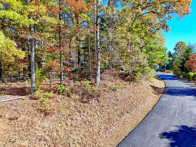 #20 Victoria Woods Cir, Hiawassee, GA 30546 - photo 2