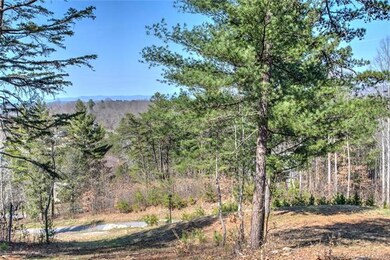 75 Magnolia Farms Dr unit 14, Asheville, NC 28806 - photo 6