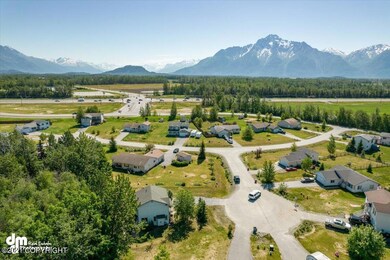 03-Aerial-DJI_0151