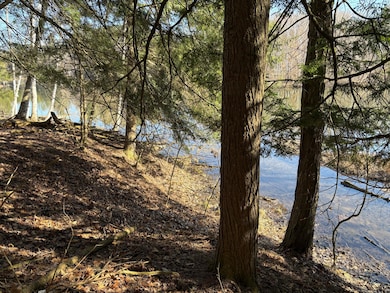 VL Lot 811 Miramichi Dr, Evart, MI 49631 - photo 5