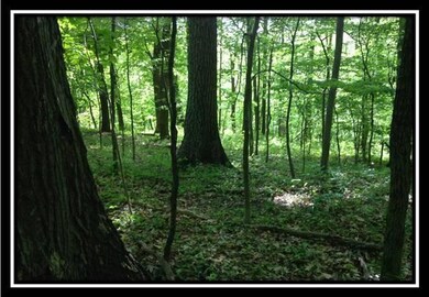image018