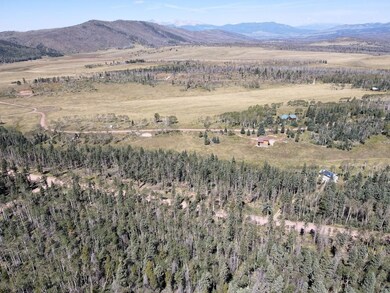 0 Petito Dr unit 25674908, Fort Garland, CO 81133 - photo 5