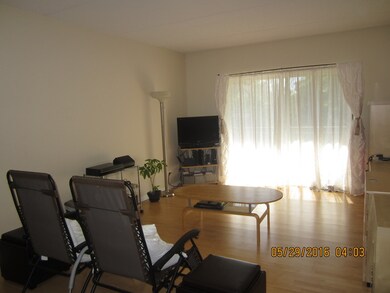 111 N Larch Ave unit 207, Elmhurst, IL 60126 - photo 5