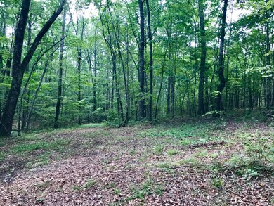 Another possible homesite