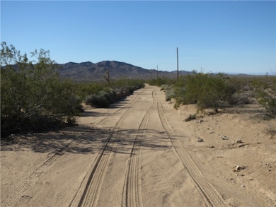 00 E Red Cloud Dr, Yucca, AZ 86438 - photo 3