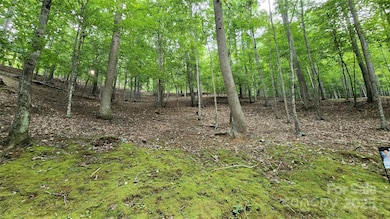 12 Hickory Springs Rd unit 12, Burnsville, NC 28714 - photo 4