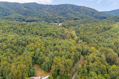 02-LOT 0 Willow Branch Rd_02