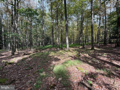 0 Lake Shore Dr unit MDGA2010464, Oakland, MD 21550 - photo 6