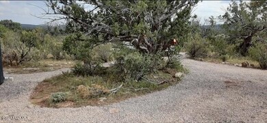 54516 Calle Reposa, Seligman, AZ 86337 - photo 4