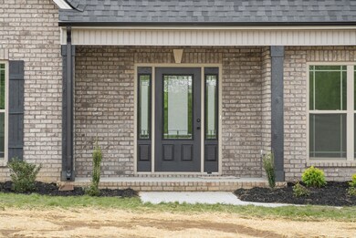 2466 Cave Springs Rd, Greenbrier, TN 37073 - photo 4