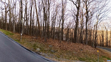 23 Rock Tree Ln, Roseland, VA 22967 - photo 2