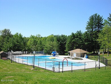 Olympic size Pool with kiddie pool