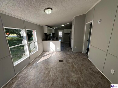 204 Fentress Blvd, Elizabethtown, KY 42701 - photo 6