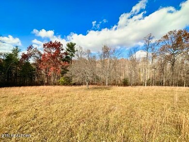 206 Bell Rd, Crossville, TN 38571 - photo 3