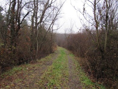 1047 Cinder Rd, Dunbar, PA 15431 - photo 6