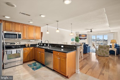 4601B Coastal Hwy unit 301, Ocean City, MD 21842 - photo 6